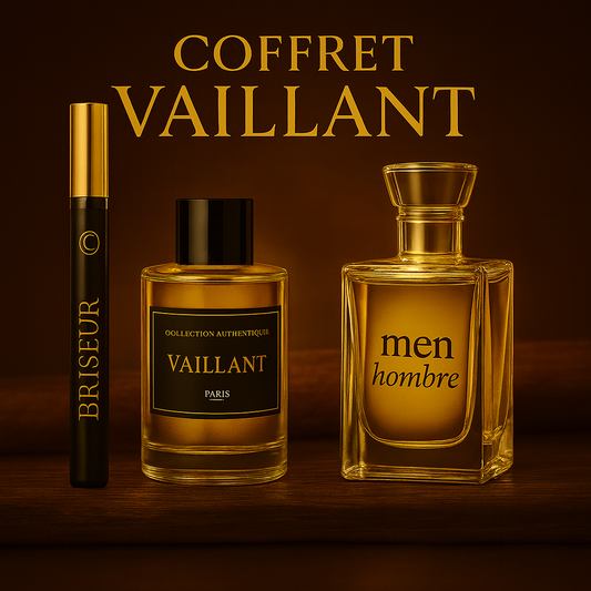 Coffret Vaillant L'Homme Maison Prestiria